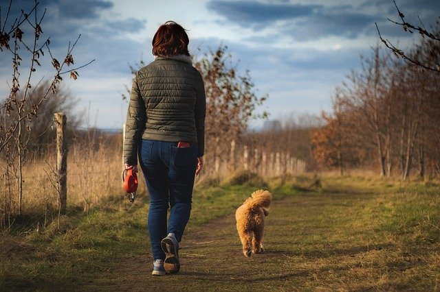 a woman going morning walk with dog